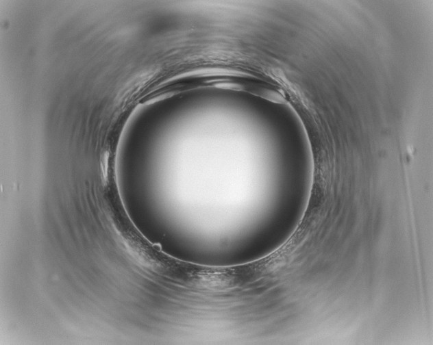 X0000088130070200705141452