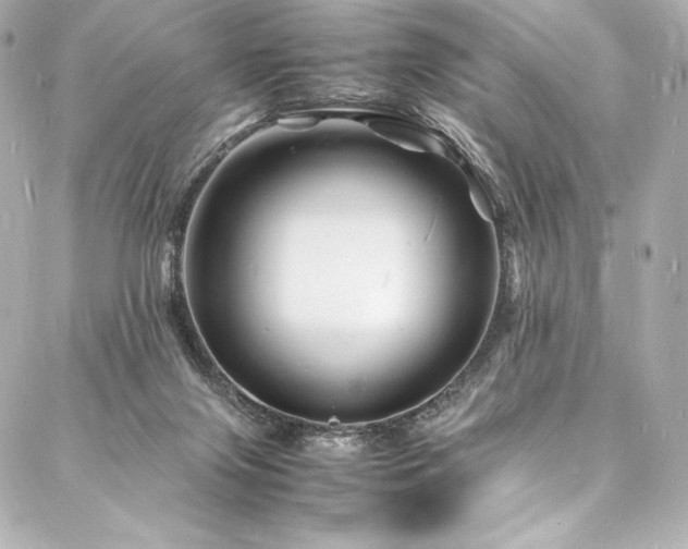 X0000088130071200705141453