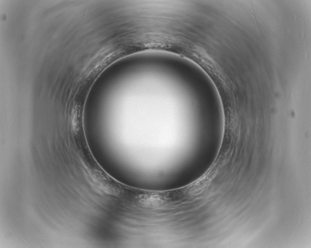 X0000088130074200705141453