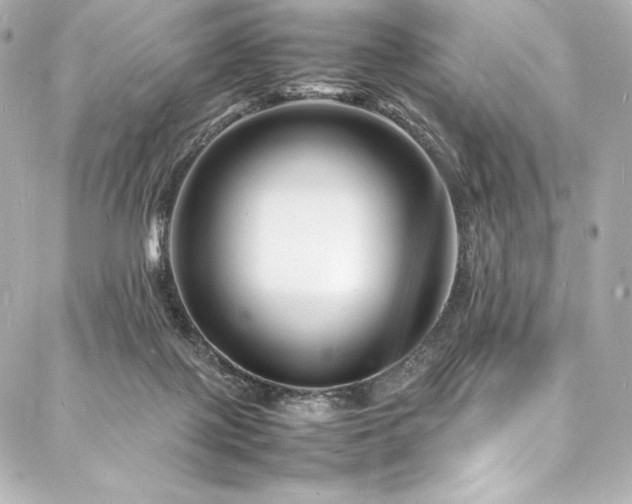 X0000088130075200705141453