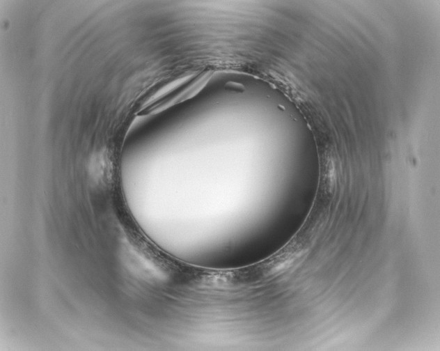 X0000088130080200705141453