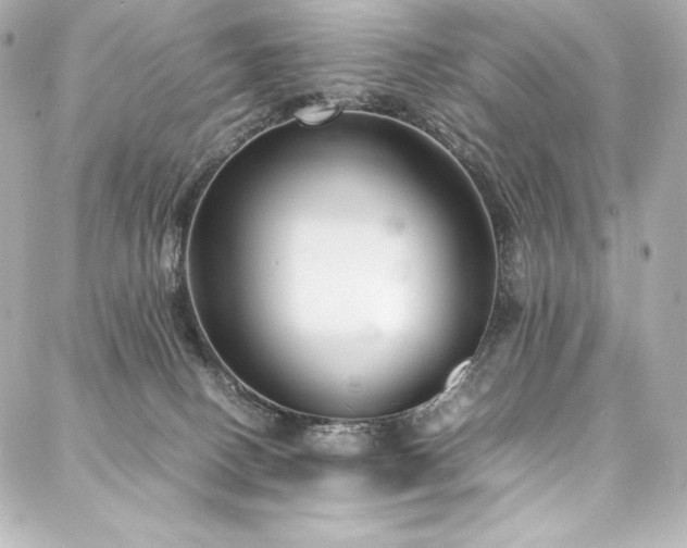 X0000088130082200705141453