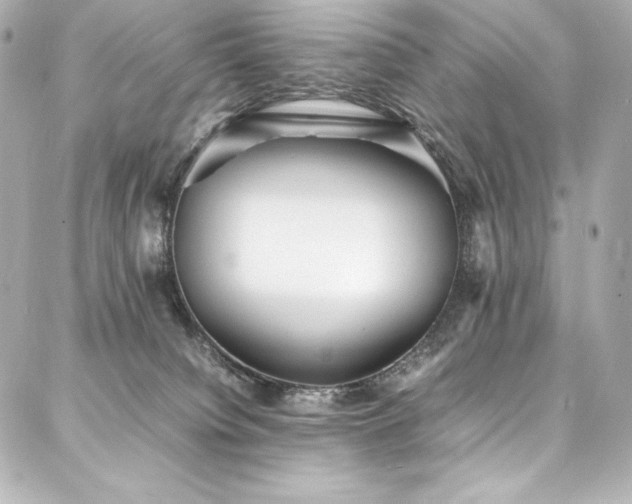 X0000088130084200705141453