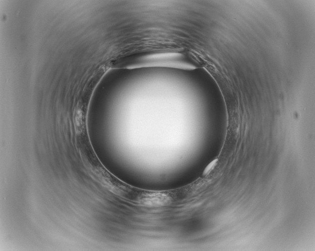 X0000088130087200705141453