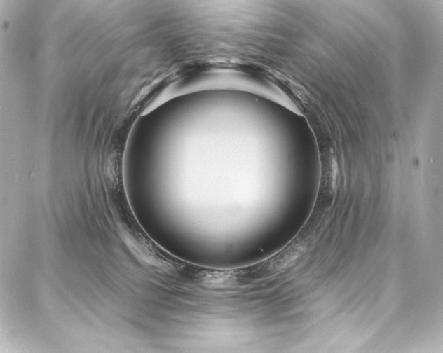 X0000088130088200705141453