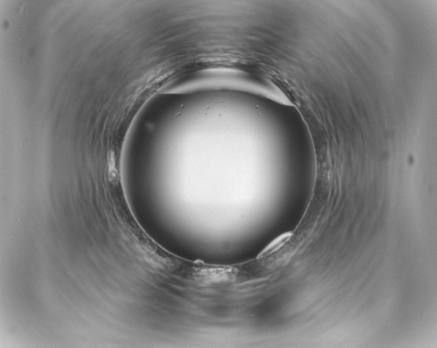X0000088130089200705141453