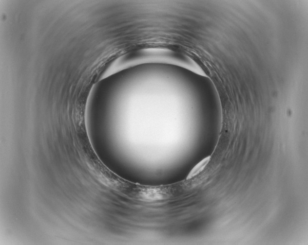 X0000088130091200705141453