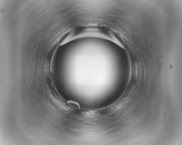 X0000088130092200705141453