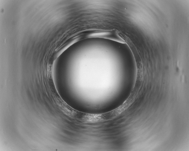 X0000088130093200705141453