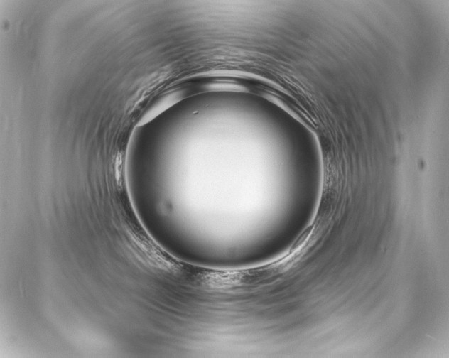 X0000088130094200705141453