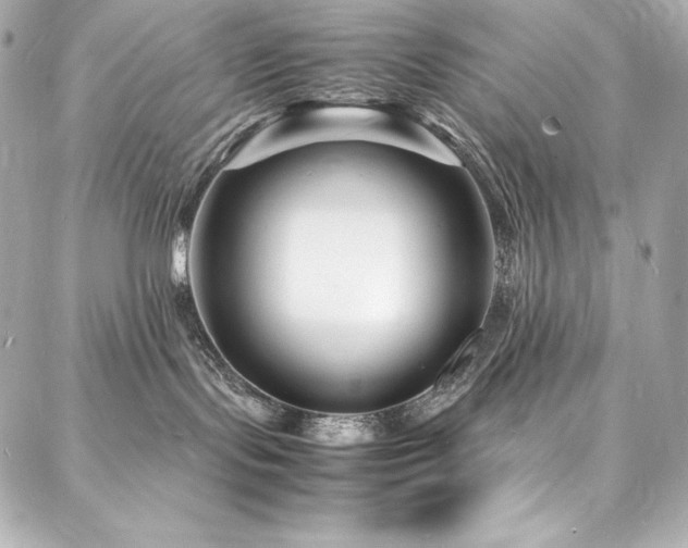 X0000088130095200705141453