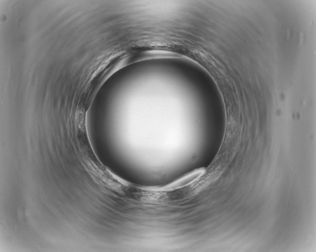 X0000088130096200705141453