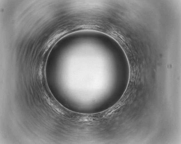 X0000088130098200705141452