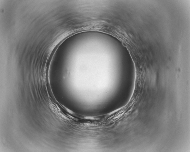 X0000088130100200705141452