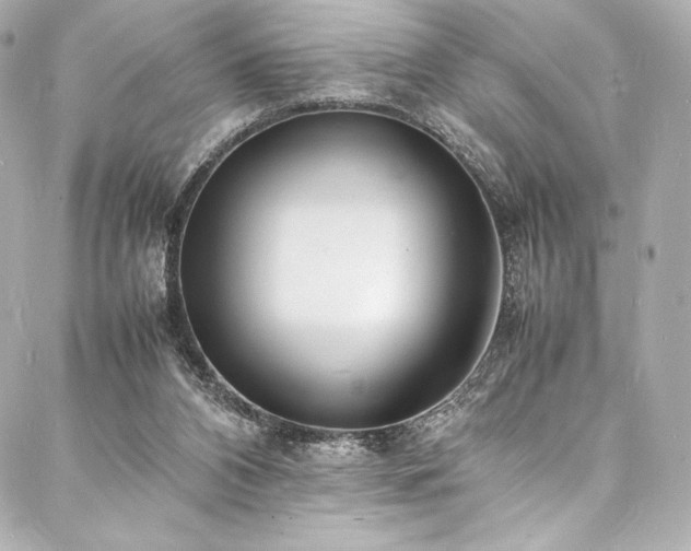 X0000088130112200705141452