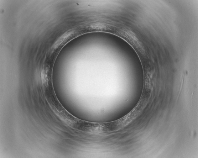 X0000088130116200705141452