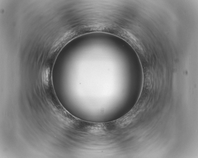 X0000088130118200705141452