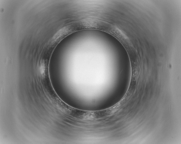 X0000088130124200705141452