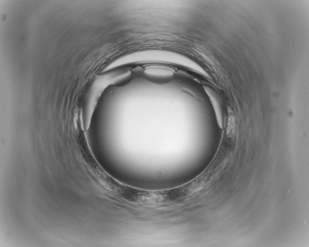 X0000088130125200705141452