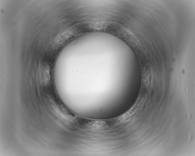 X0000088130128200705141452