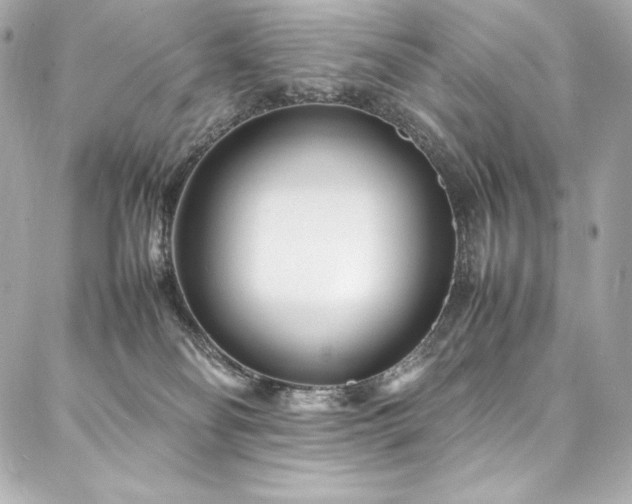 X0000088130134200705141452