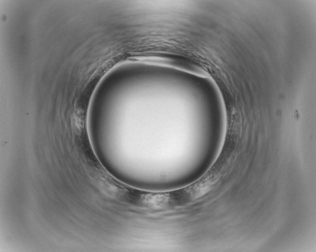 X0000088130135200705141452