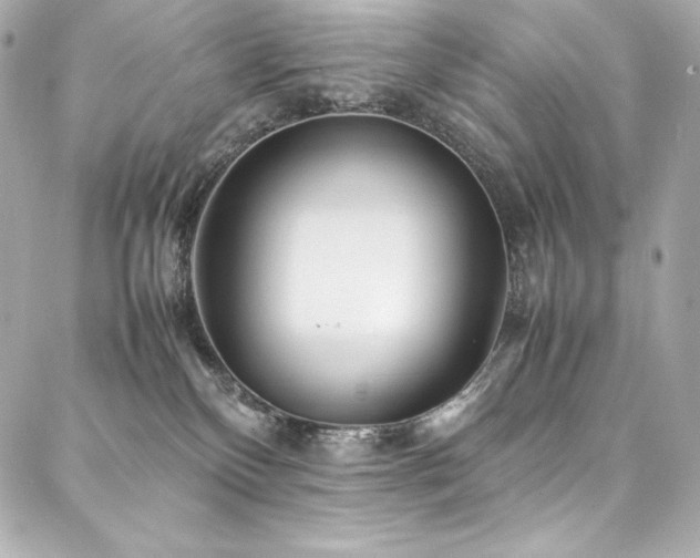 X0000088130136200705141452