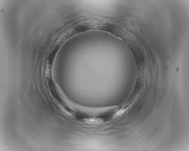 X0000088130137200705141451