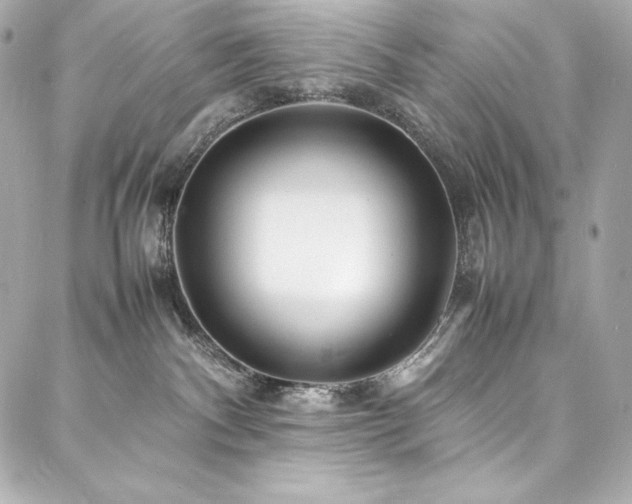 X0000088130140200705141451