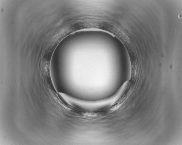 X0000088130141200705141451