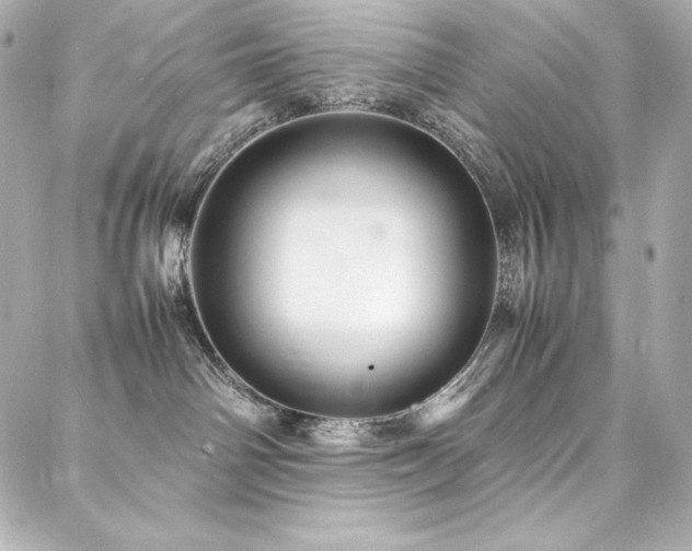 X0000088130142200705141451