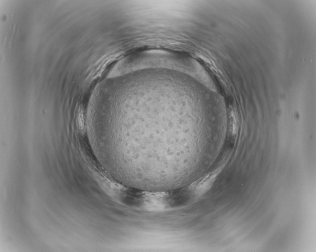 X0000088130143200705141451