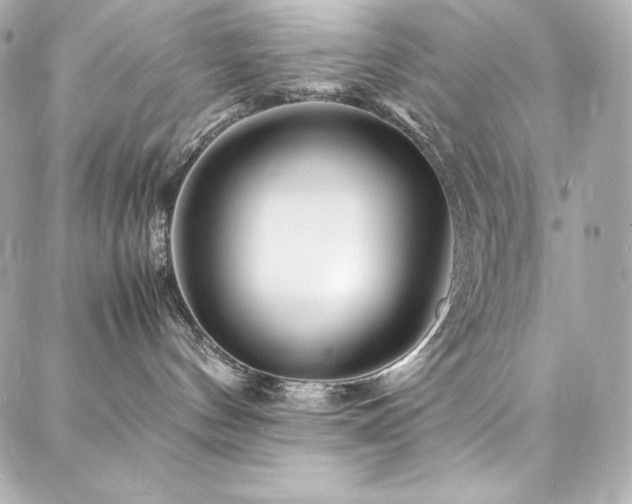 X0000088130144200705141451