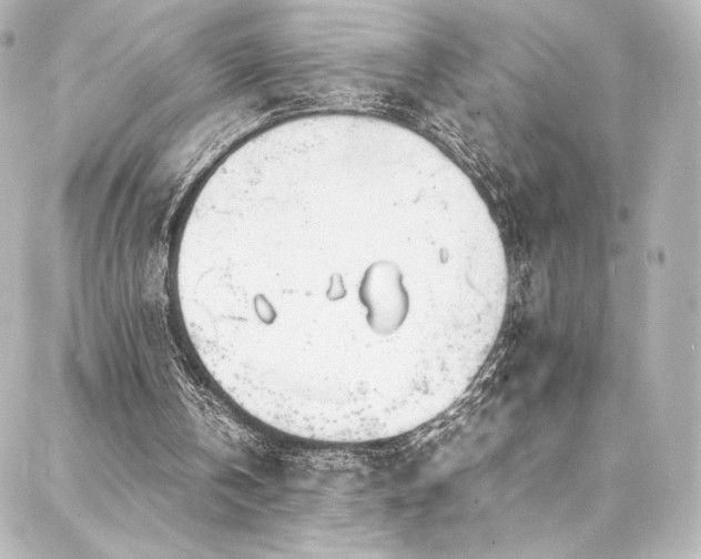 X0000088130146200705141451
