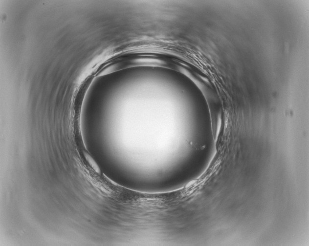X0000088130150200705141451