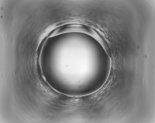 X0000088130152200705141451