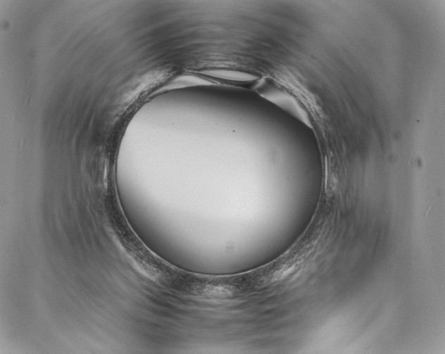 X0000088130157200705141451