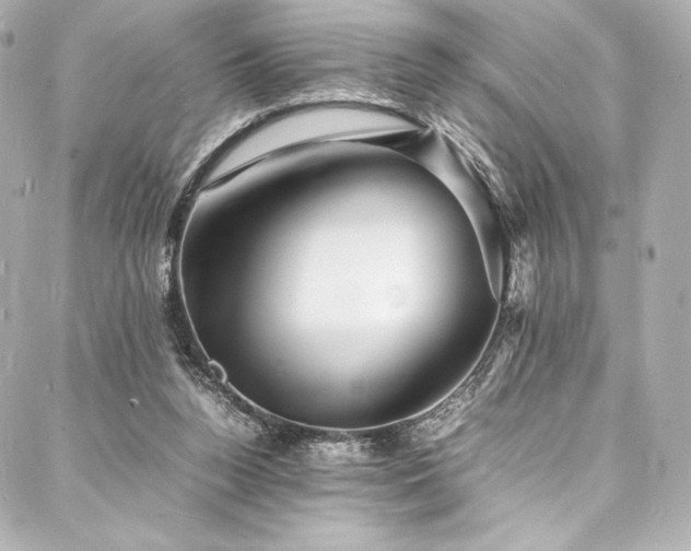 X0000088130160200705141451