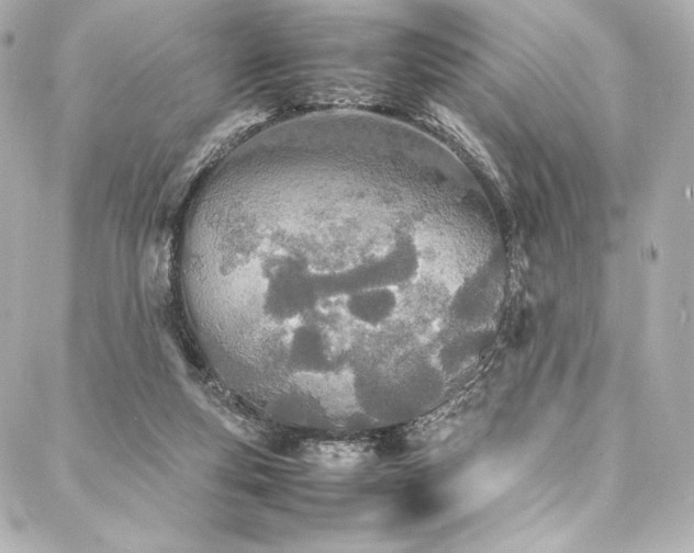 X0000088130163200705141451