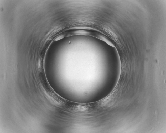 X0000088130166200705141451