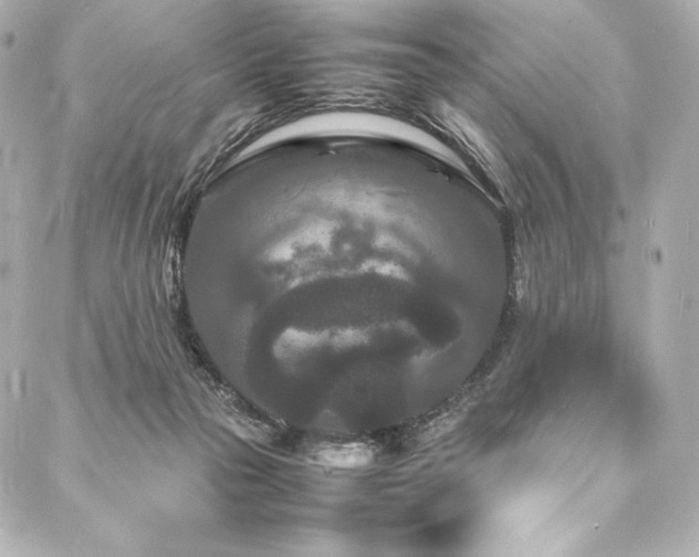 X0000088130169200705141451