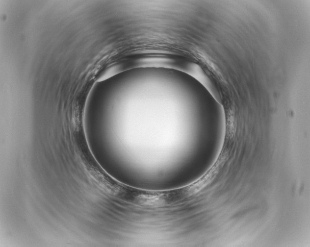X0000088130170200705141451