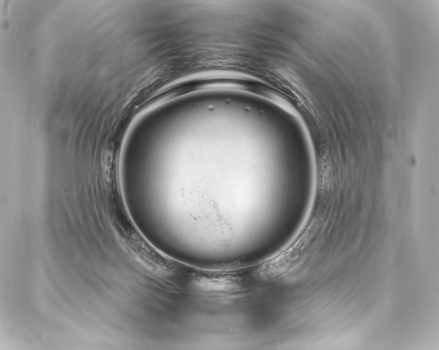 X0000088130171200705141451