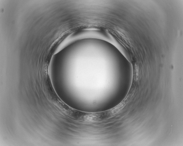 X0000088130172200705141451