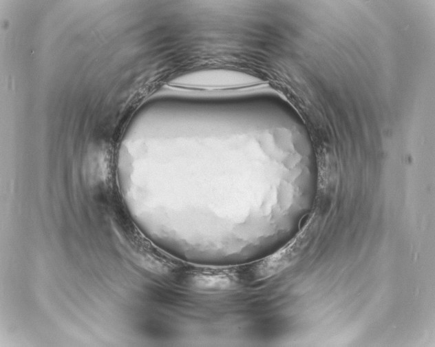 X0000088130175200705141451