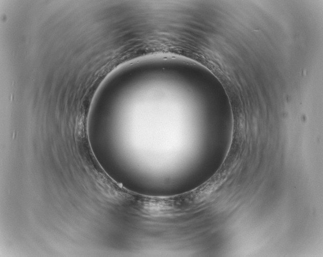 X0000088130177200705141451