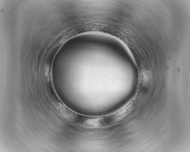 X0000088130178200705141451
