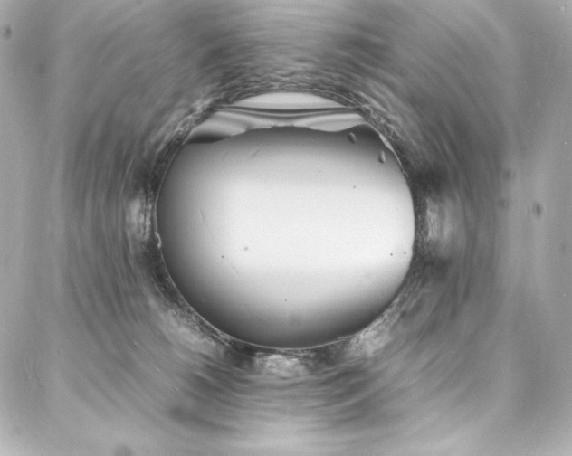 X0000088130180200705141451