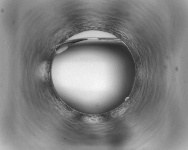 X0000088130181200705141451