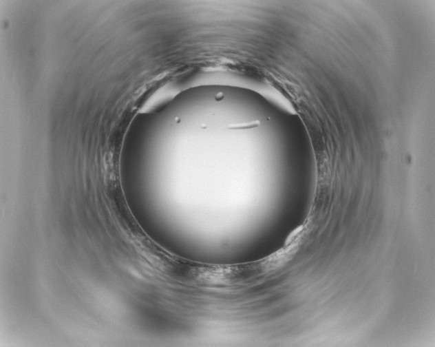 X0000088130182200705141451